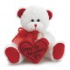 Bear 8" Animal Plush- White with Red Message Pillow