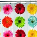 Maytex Gerbera Daisy PEVA Shower Curtain